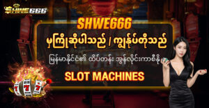 shwe666